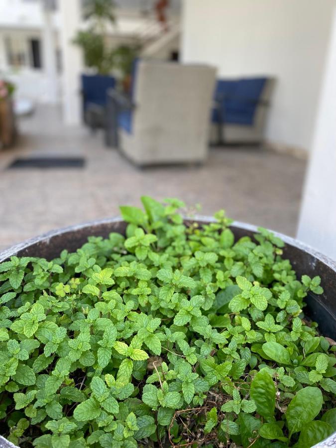 Hotel Balxiba Playa del Carmen Dış mekan fotoğraf