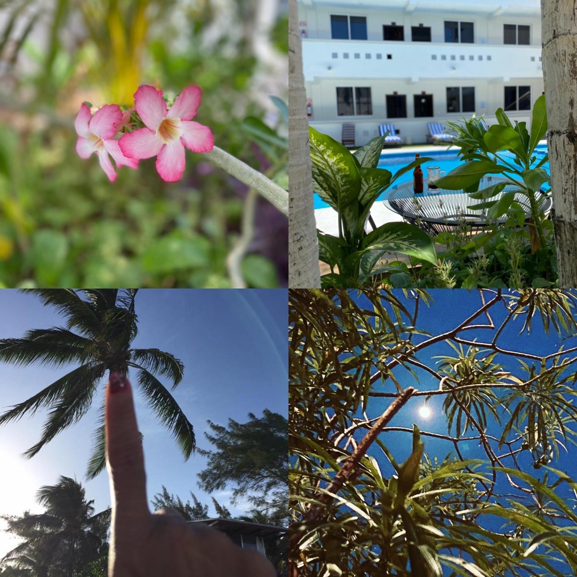 Hotel Balxiba Playa del Carmen Dış mekan fotoğraf