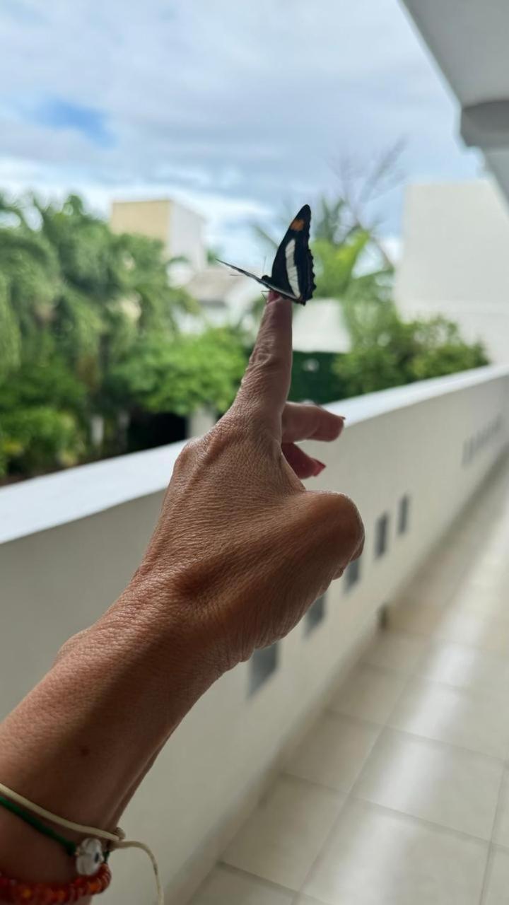 Hotel Balxiba Playa del Carmen Dış mekan fotoğraf