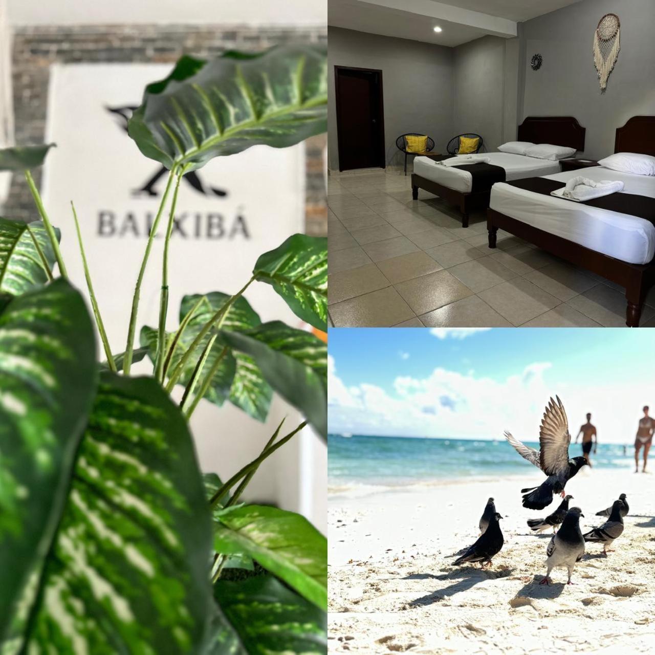 Hotel Balxiba Playa del Carmen Dış mekan fotoğraf