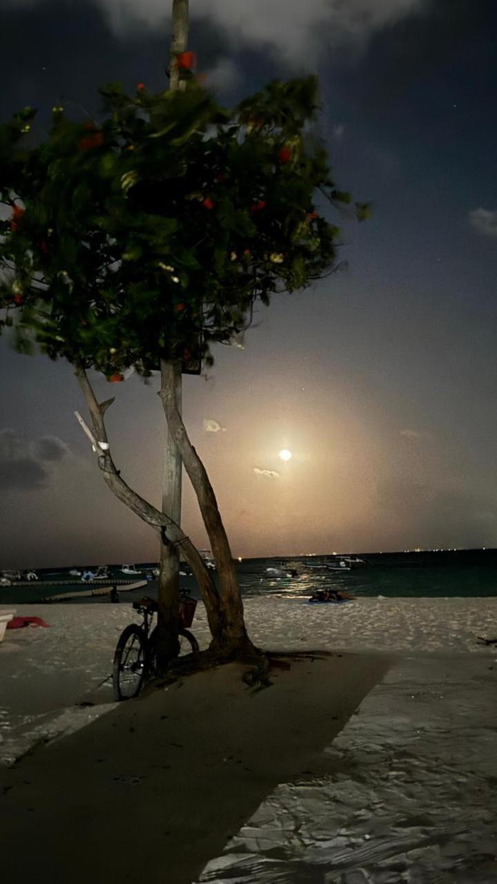 Hotel Balxiba Playa del Carmen Dış mekan fotoğraf